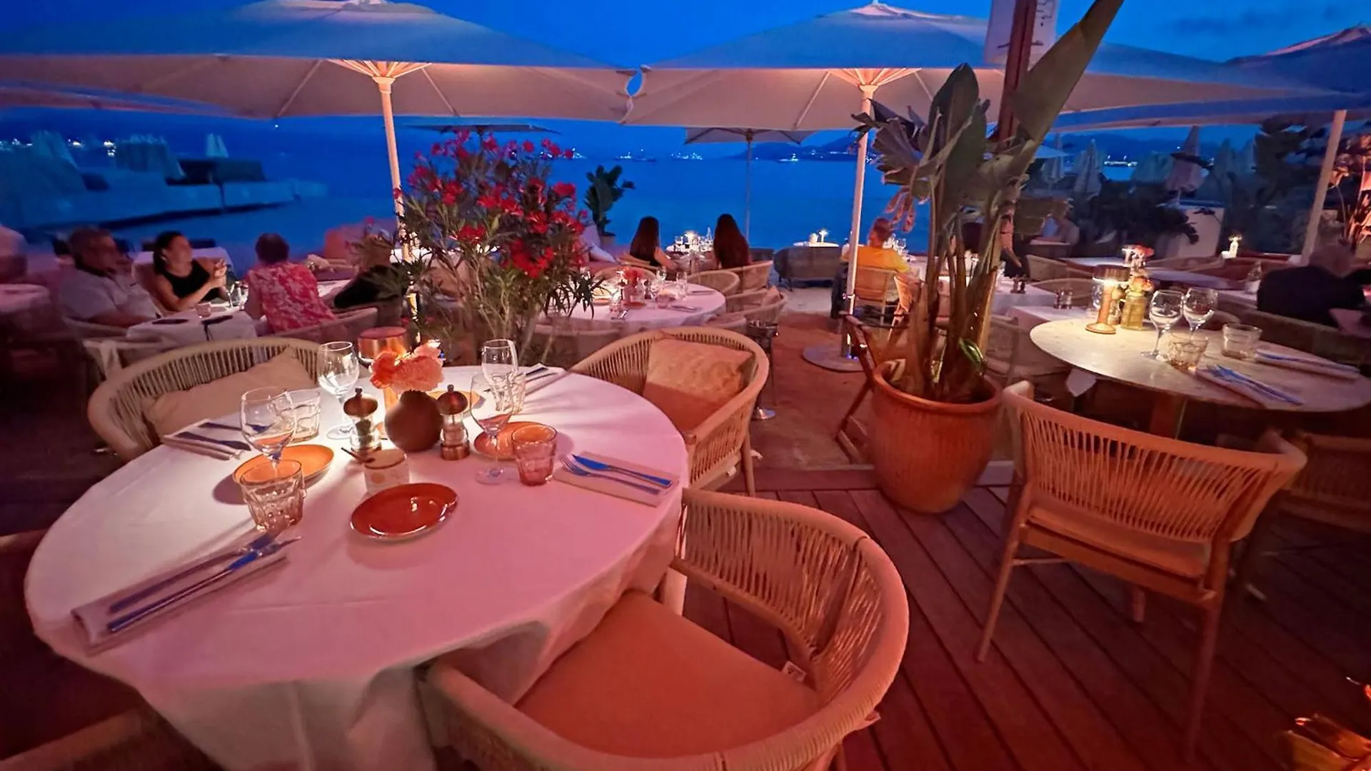 Villa Quartier Oxford Garden & Pool In Cannes Ac